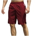 thumbnail image 2 of Dxzfnsa Mens Shorts Casual Cotton Casual Shorts for Men Elastic Waistband Mens Casual Shorts Daily Wear M-3XL, 2 of 6