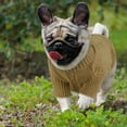 thumbnail image 6 of ZDM Small Dog Pullover Sweater, Cold Weather Cable Knitwear, Classic Turtleneck Thick Warm Clothes for Chihuahua, Bulldog, Dachshund, Pug (Peacock Blue, Small), 6 of 7