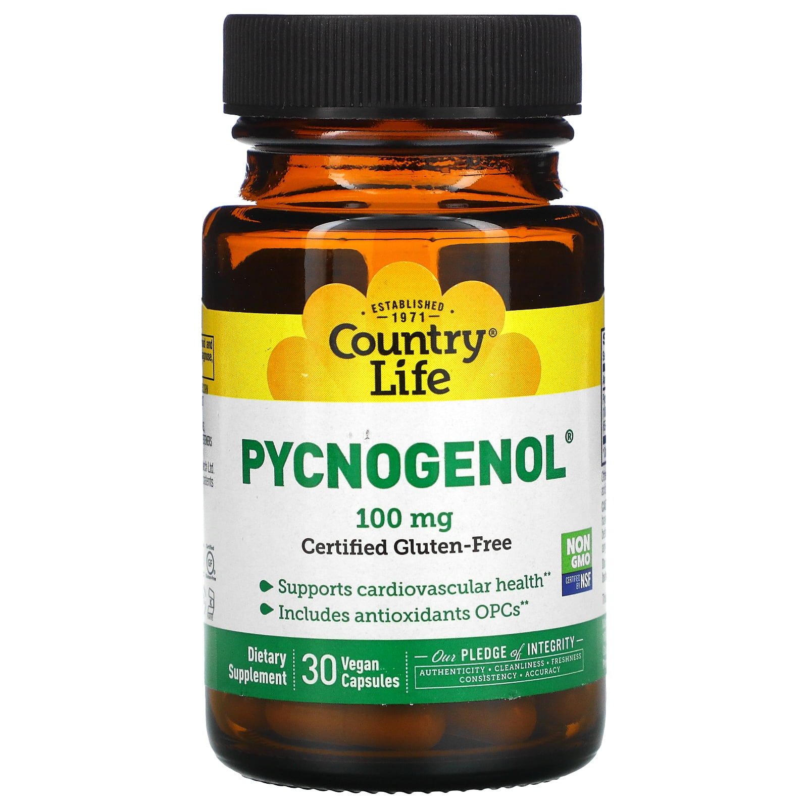 Country Life Pycnogenol 100mg - French Maritime Pine Bark Extract Antioxidants Supplement - Supports Cardiovascular Health - No Yeast, Corn, Wheat, Soy, Milk, Salt, Preservatives - 30 Capsules