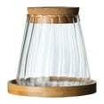 thumbnail image 1 of Florero hidropónico para plantas de cristal Strade Fareast Limited, 1 of 8