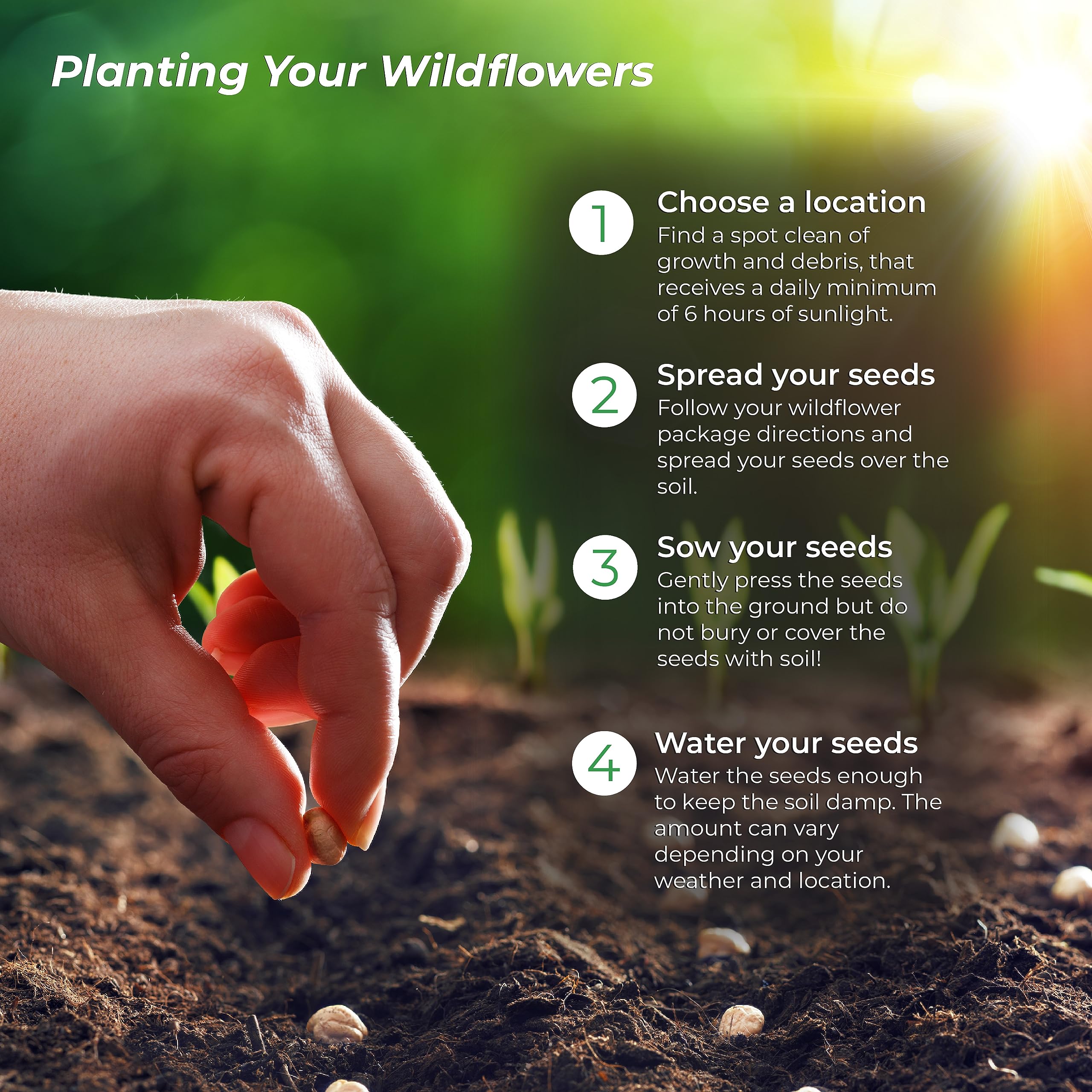 Maryland Wildflower Seed Mix, Covers 325 MVR1&nbsp;Sq Ft, 15 Flower Varieties, Over 50,000 Seeds, Created By Nature