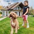 thumbnail image 1 of YWIYIUD 1PC HeavyDuty Elastic Dog Leash for Large Medium Dogs NoPull ShockAbsorbing Dog Leash with Handle Practical Climbing Rope Suitable for Walking Training Hiking and Daily Activities, 1 of 7