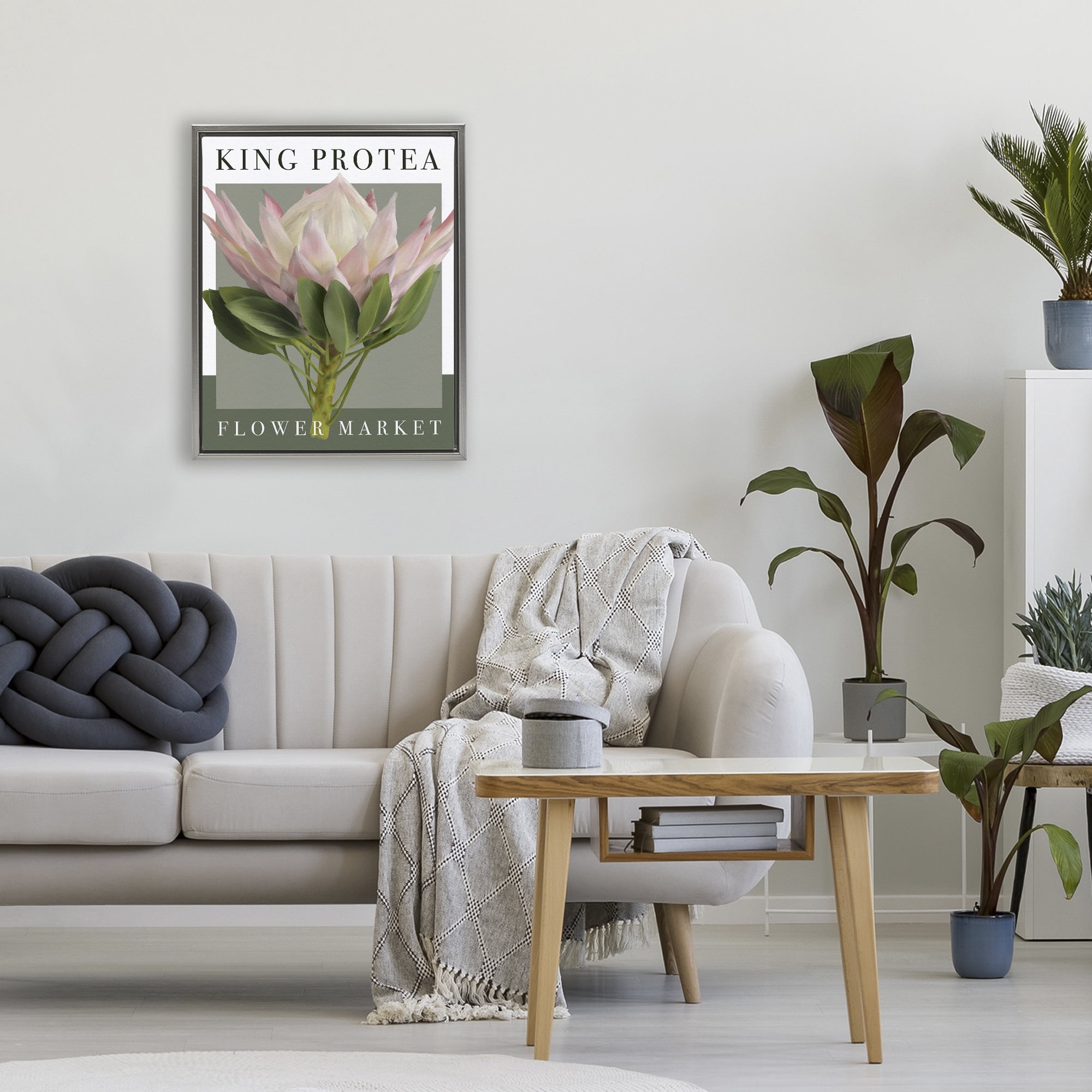 Stupell Industries King Protea Flower Market Gray Framed Floater Canvas Wall Art, design by Jennifer Stith