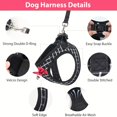 thumbnail image 4 of Dog Cat Harness And Leash 5FT Soft Mesh Breathable Walking Escape Proof For Small Medium Cat Vest, 4 of 4
