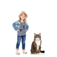 thumbnail image 4 of Cardboard People House Cat Life Size Cardboard Cutout Standup - Made in USA, 4 of 5
