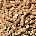thumbnail image 4 of Bear Mountain BBQ Holiday Turkey Blend Maple, Hickory, & Cherry Pellets, 20 lbs, 4 of 6