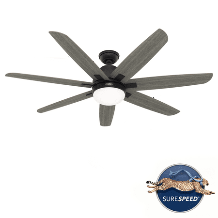 

Hunter 60 inch Wilder Matte Black Ceiling Fan with LED Light Kit and Wall Control