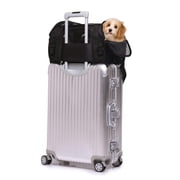 GOOPAWS Soft-Sided Dog & Cat Carrier Bag, Black, 17