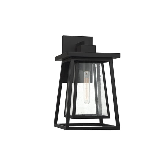 Denver 1-Light Outdoor Wall Lantern in Matte Black
