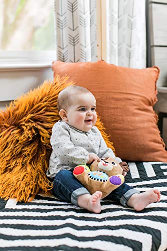 baby einstein press & play pals