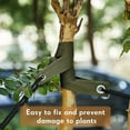 thumbnail image 2 of CSChome Sangle d'Arbre à Forte Capacité de Charge, Sangle d'Arbre avec Oeillets pour un Soutien de Jardin Efficace, 2 of 7