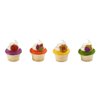 Harvest of Hues Cupcake Rings 12ct