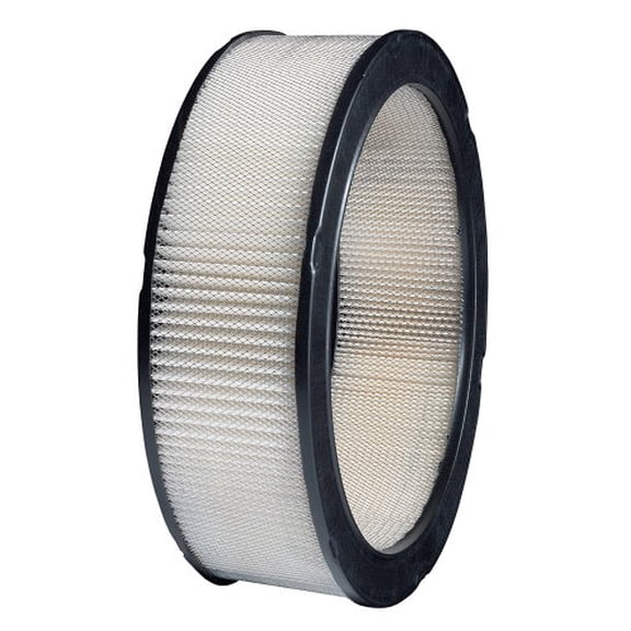 Purolator A34629 Classic Air Filter