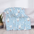 thumbnail image 3 of Goofa Goose White Flowers Pattern Fleece Throw Blanket for Couch, Soft Checkered Flannel Blanket for Sofa, Warm Cozy Decorative Blanket Fall Decor Gift-40"x30", 3 of 6