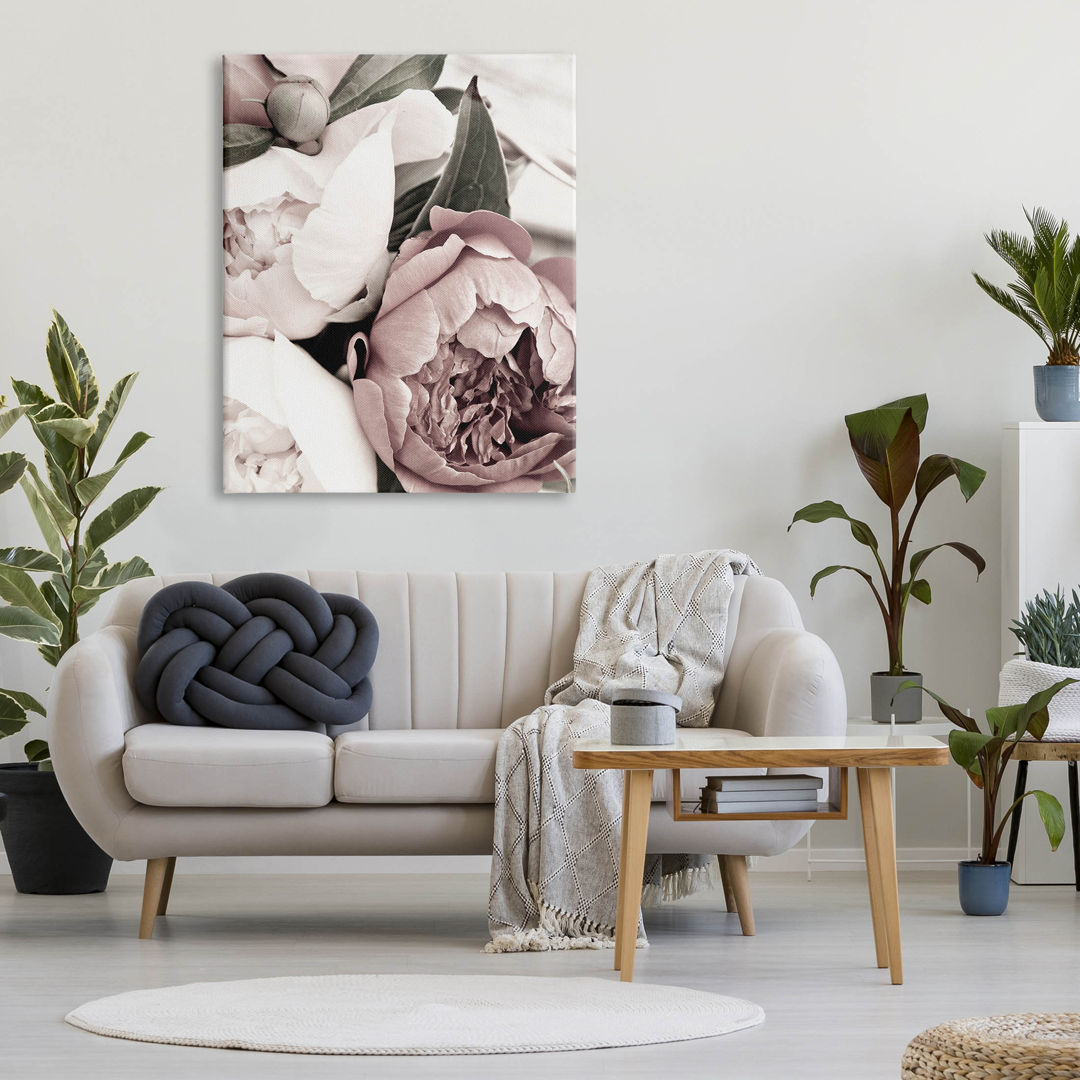 Budding Peony Petals Close Up Botanical & Floral Photograph Gallery Wrapped Canvas Print Wall Art