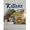 Steelpangal- 2022. 2 Pack Kittens 12-Month Calendar Desk CATS 12 mo