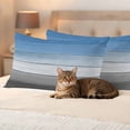 thumbnail image 3 of Outdoor Pillow Covers Farmhouse Gradient Wood Board Waterproof Pillow Cases 20x12 Set of 2, Blue Gray Ombre Wooden Throw Pillow Cover Pillowcase for Patio Balcony Couch Garden, 3 of 9