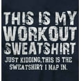 thumbnail image 2 of This Is My Workout Just Kidding Nap Unisex Plus Fleece Graphic Hoodie Brisco Brands 5X, 2 of 4