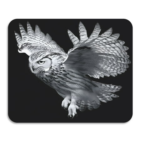 

ALAZA Dish Drying Mat for Kitchen Owl Counter Absorbent Draining Pad 19.7 x15.7