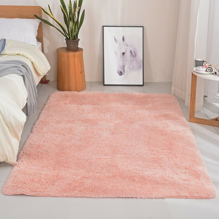 Flamingo Rug 3x4 Area Rug Funny Animal Rugs for Entryway Bedroom Living  Room, Washable Non-Slip Soft Low Pile Small Rug Indoor Door Mat, Dorm  Dining