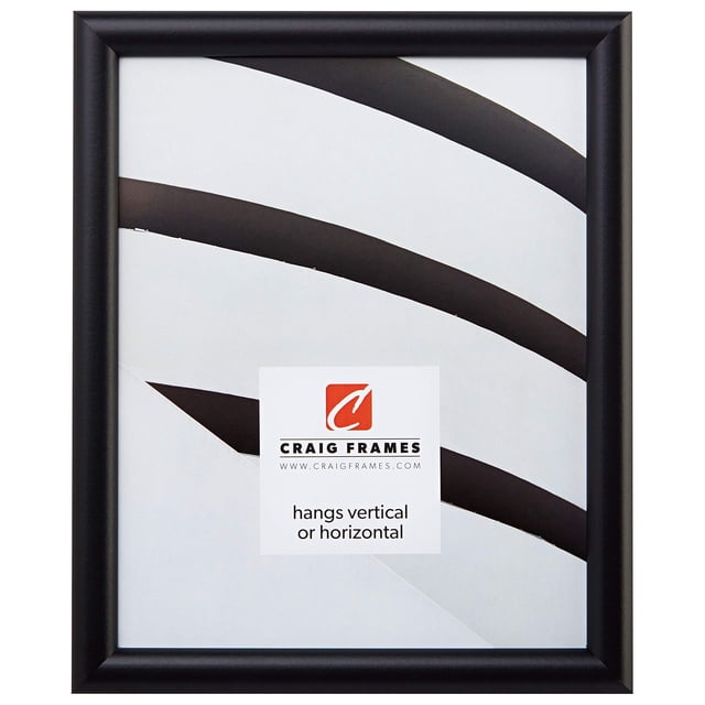 Craig Frames FW2BK 19 x 25-Inch Picture Frame, Smooth Finish, 0.765-Inch Wide, Black