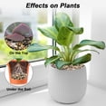 thumbnail image 5 of River Rocks, Decorative Ornamental Pebbles,Garden Landscaping Stones,Gravel Filler for Home Decoration Flower Bed Fish Tank Plants Vases Succulents, 5 of 8
