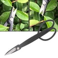 thumbnail image 3 of Plant Branch Shears, Clean Cut Professional Bonsai Scissors Rust Resistance  for Garden Flower Arrangement, 3 of 8