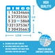 thumbnail image 4 of Set de juego de bingo Regal Bingo Deluxe para adultos y niños, 4 of 5