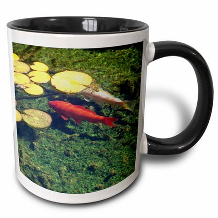 

3dRose Coy fish - Two Tone Black Mug 11-ounce