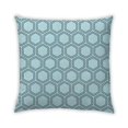 thumbnail image 1 of Ahgly Company Indoor Square Contemporary Throw Pillow, 18 inch by 18 inch, 1 of 5