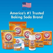 Arm & Hammer Pure Baking Soda, 16 oz