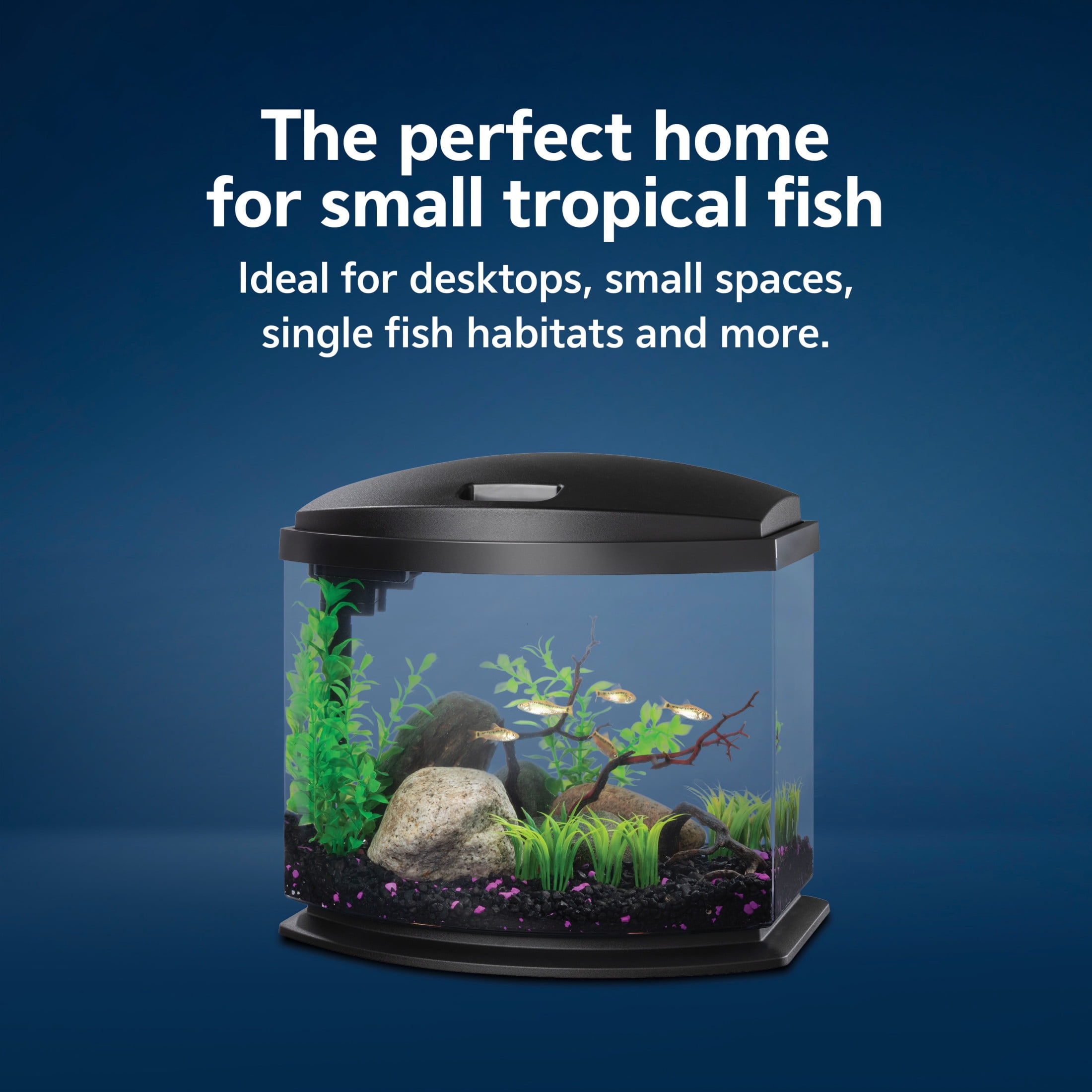 Aqueon LED MiniBow Kit with SmartClean Technology Black 5 Gallon Aquarium Starter Kit