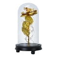 thumbnail image 1 of Fresh Fab Finds FFF-Gold-GPCT2296 Foil Rose LED String Light Rose Fairy Lamp with Glass Dome, Gold, 1 of 1