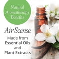 thumbnail image 2 of Ambientador Air Scense, desodorizante, ambientador, vainilla, 200 ml, 2 of 6