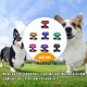 thumbnail image 3 of Billuyoard Mascota Control Arnés para Perro Cachorro Gato Suave a Pie Cuello Seguridad Tira Suministros para perros Verde S, 3 of 6
