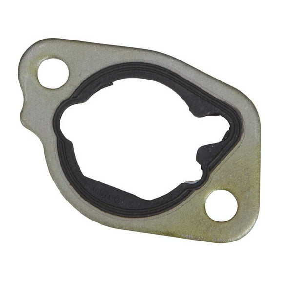 Briggs and Stratton 797282 Air Cleaner Gasket