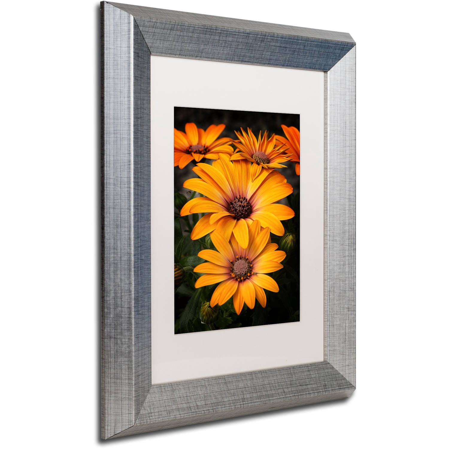 Trademark Fine Art "Stuck On You" Canvas Art by Philippe Sainte-Laudy, White Matte, Silver Frame