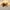 Brown-1, variant on Aukfa 20" Caged Ceiling Fan with Lights and Remote, 6-Speeds Bladeless Enclosed Fan for Bedroom, Kitchen, Farmhouse