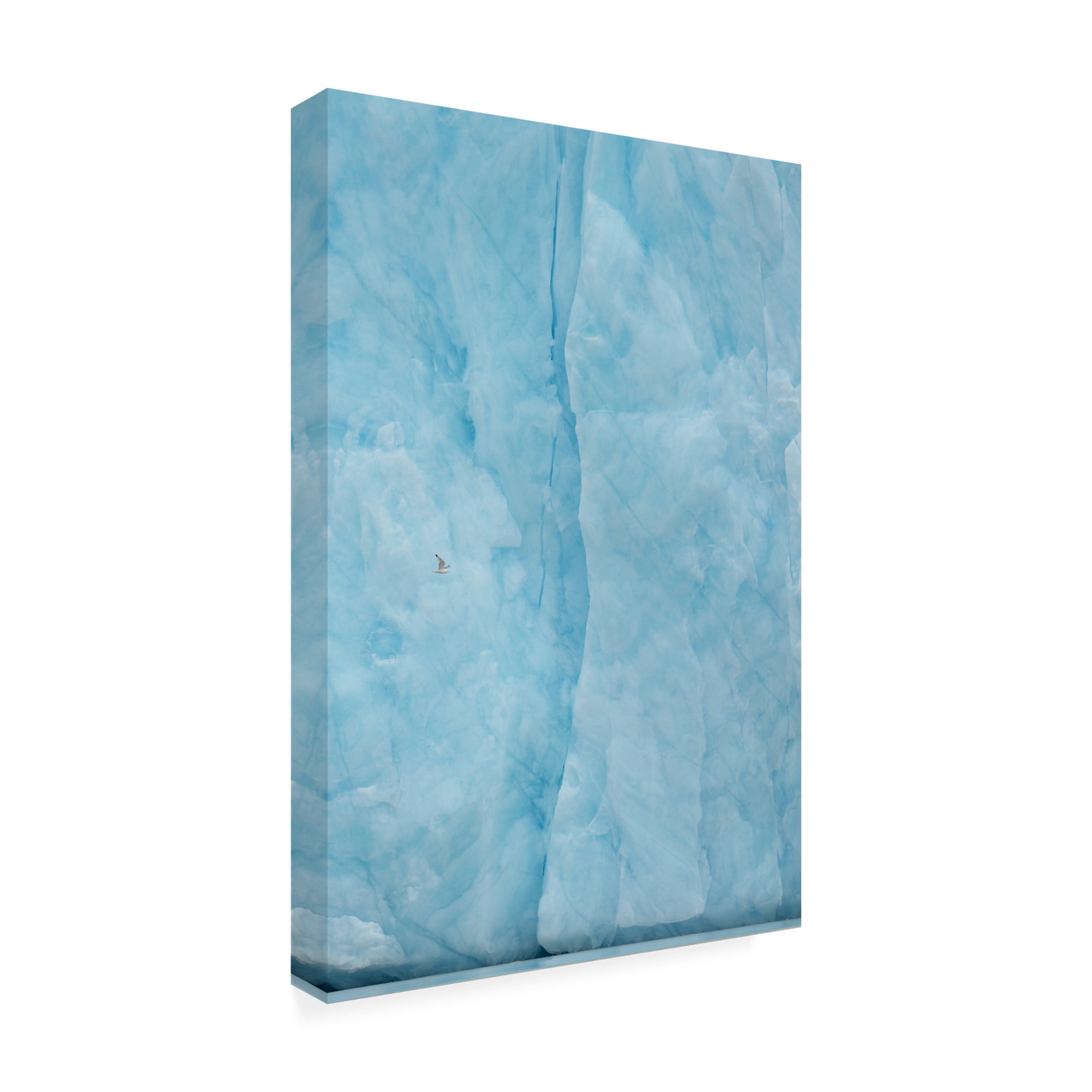 Canvas Wall Art - Yves Adams 'Kittiwake Flying Into The Blue' Wall Art for Living Room, Bedroom, or Office D?cor by Trademark Fine Art - 30 x 47 Inches