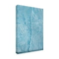 thumbnail image 4 of Canvas Wall Art - Yves Adams 'Kittiwake Flying Into The Blue' Wall Art for Living Room, Bedroom, or Office D?cor by Trademark Fine Art - 22 x 32 Inches, 4 of 4