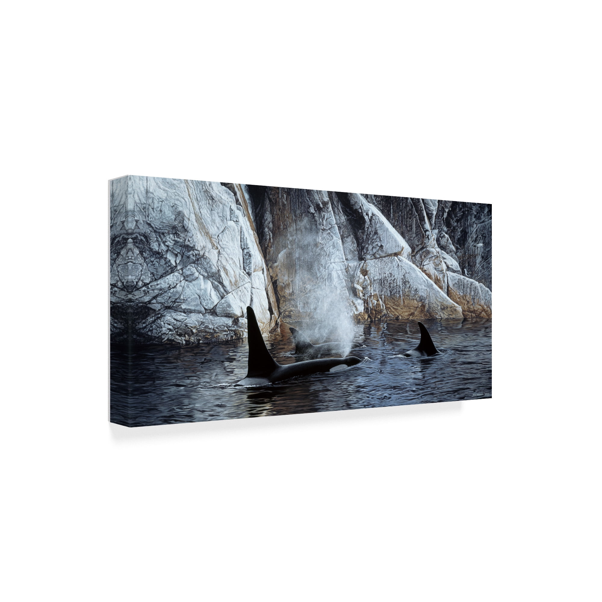 Trademark Fine Art 'Deep Water Orcas' Canvas Art by Ron Parker