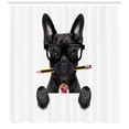 thumbnail image 3 of Ambesonne Bulldog Shower Curtain, Businessman Dog Glasses, 69"Wx70"L, Multicolor, 3 of 3