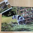 thumbnail image 4 of Maoww 500PCS Animal Jigsaw Pet Jigsaw Pieces Game Play Collection Best Gift for Adults and Kids, 4 of 6