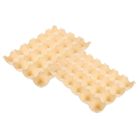 2 Pcs Preservation Box Carton for Refrigerator Holder Tray