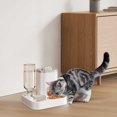 thumbnail image 1 of Automatic Pet Feeder And Waterer Large Capacity Cat Dog Food Bowl Indoor Feeding Station For Durable Plastic Design, 1 of 4