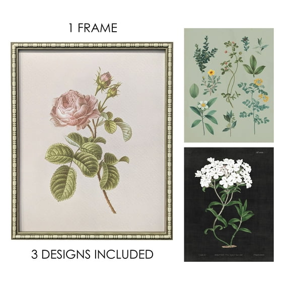 Bradley & Ballard 16x20 Vintage Botanical Print Interchangeable Wall Art Set