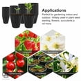 thumbnail image 3 of Luxtrada 100PCS Plant Flower Pots Outdoor Living Garden Nursery Seedlings Pot Container #8*8cm, 3 of 8