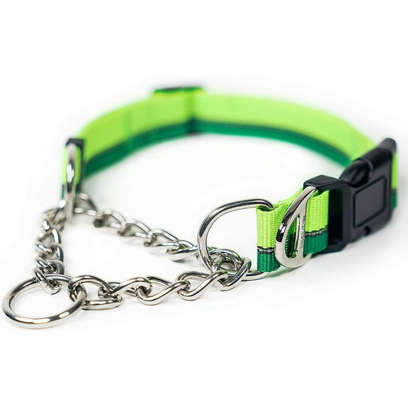 Martingale Dog Collar 2.0 | Trainer Approved Limited Slip Collar with Stainless Steel Chain & Heavy Duty Buckle - Modified Cinch Collar for Gentle & Effective Pet Training - Medium, Green