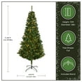 thumbnail image 6 of National Tree Company 7.5 ft Pre-Lit Linden Spruce Full Artificial Christmas Tree, 400 LED Lights, 1,200 Tips, Includes Stand, Green, 6 of 9