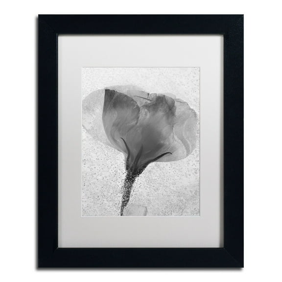 Trademark Fine Art "Flowers on Ice BW-2" Canvas Art by Moises Levy, White Matte, Black Frame